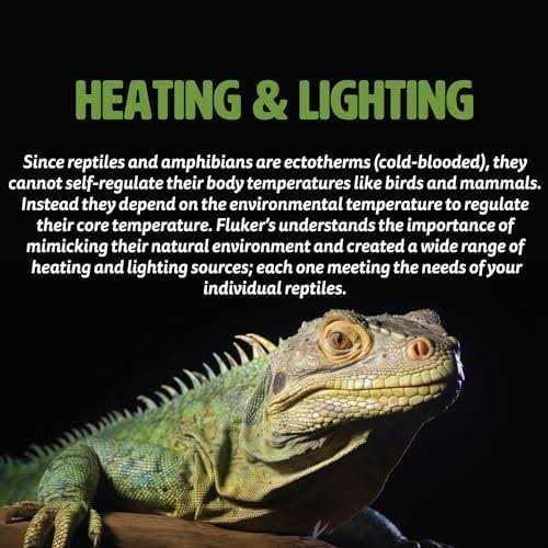 Reptile Lamp Z766647