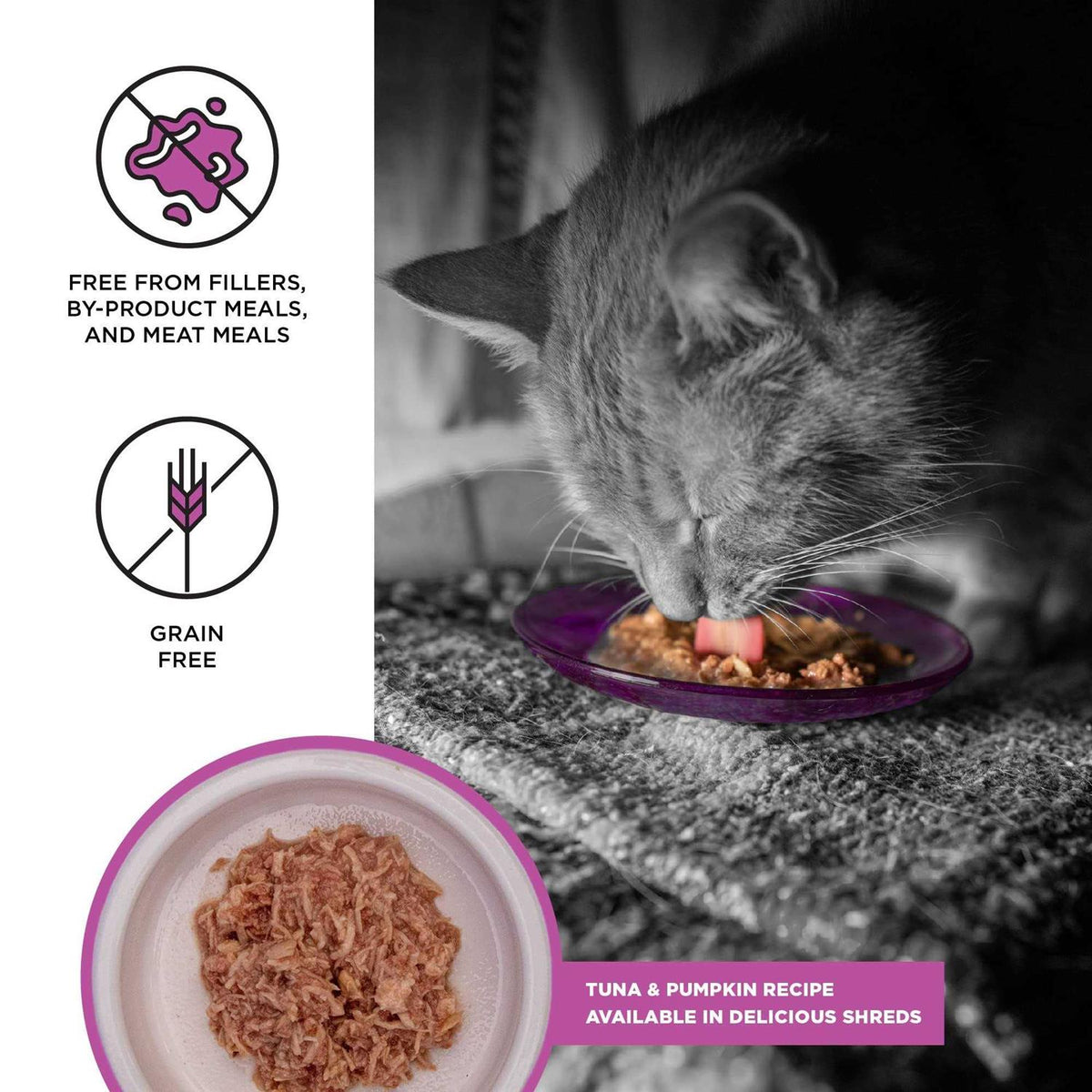 Tuna Recipe Cat Food J620