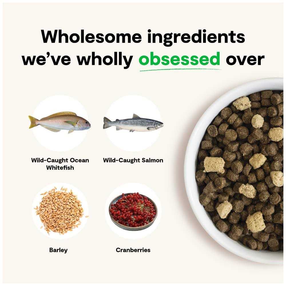 Wild Ocean Ancient Grains Dog Food J6206