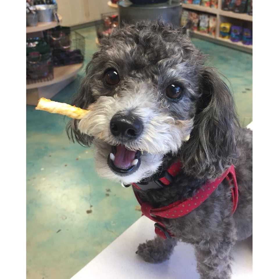 No Hide Beef Stix X48972