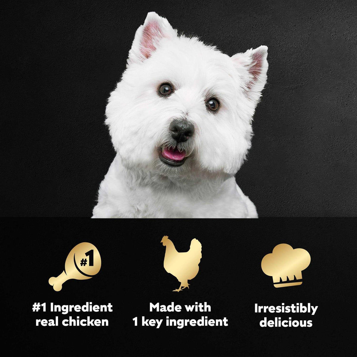 Chicken Wet Dog Food T544