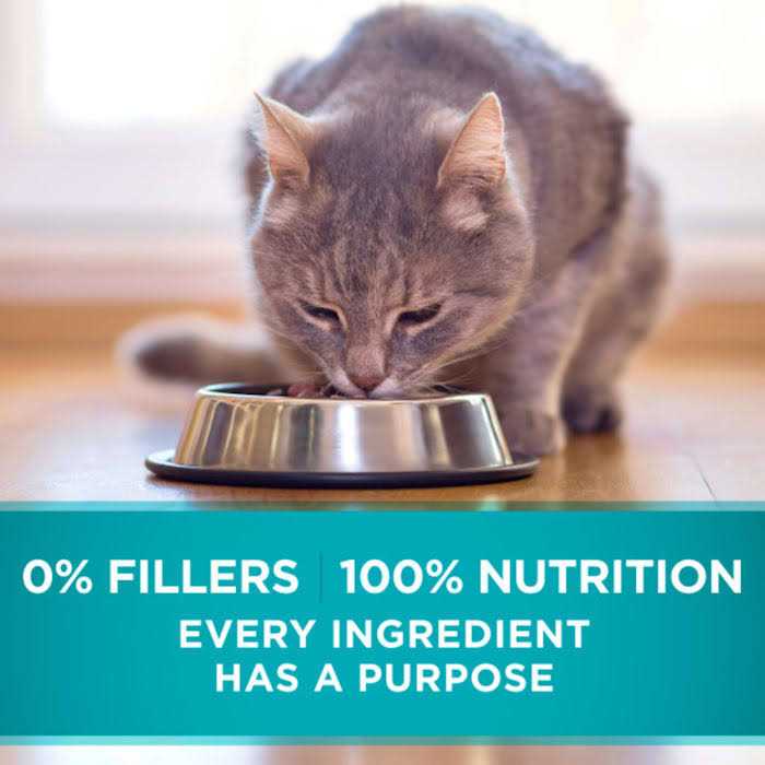 Indoor Advantage Natural Cat Food Ocean Whitefish & Rice B924849
