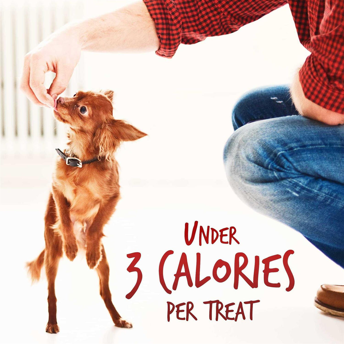 Dog Treats H686