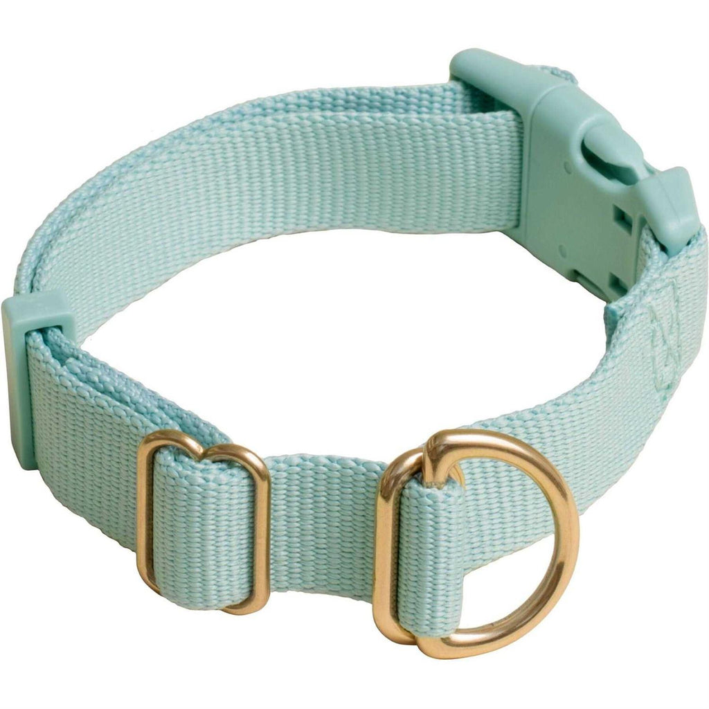 Standard Dog Collar W46326