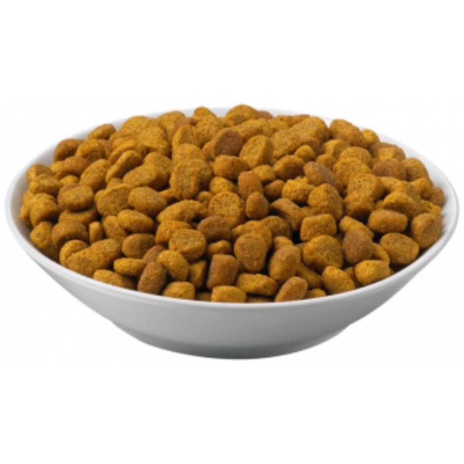 Overweight Management Formula Dry Cat Food J434543