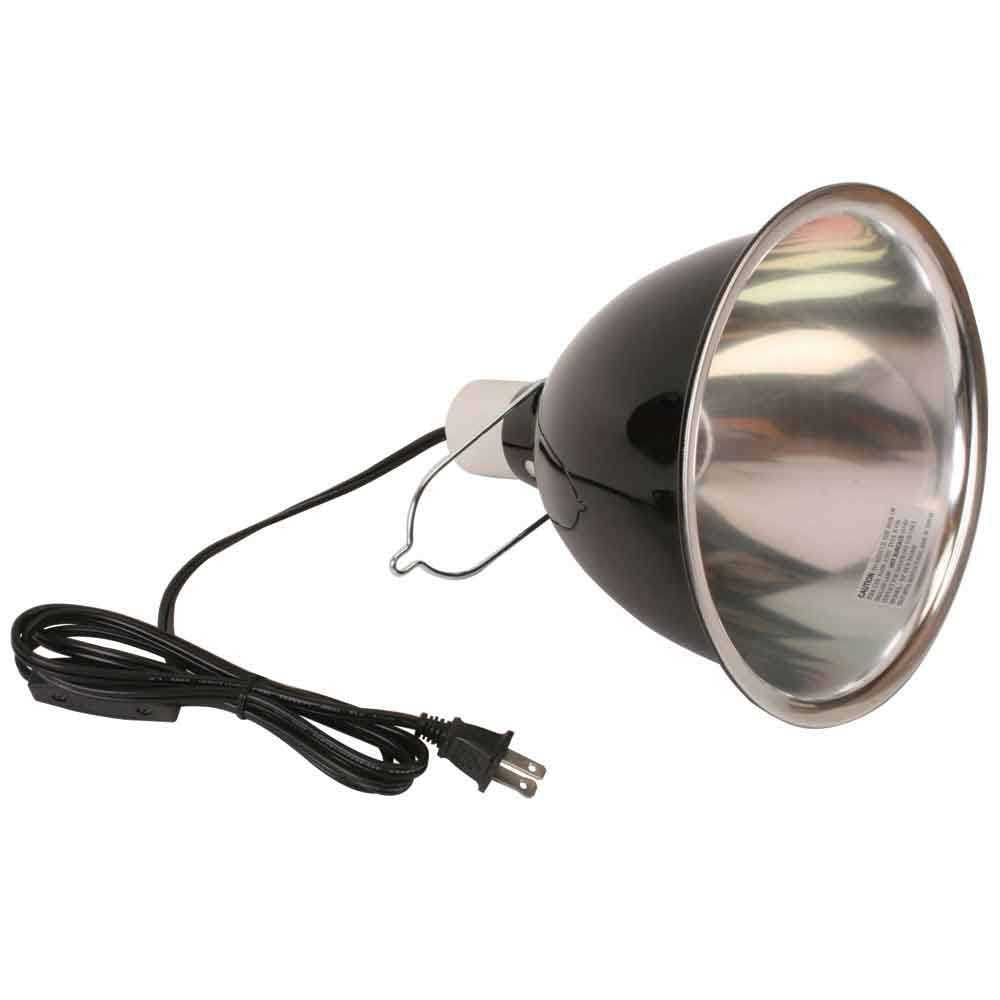 Reptile Lamp Z766647