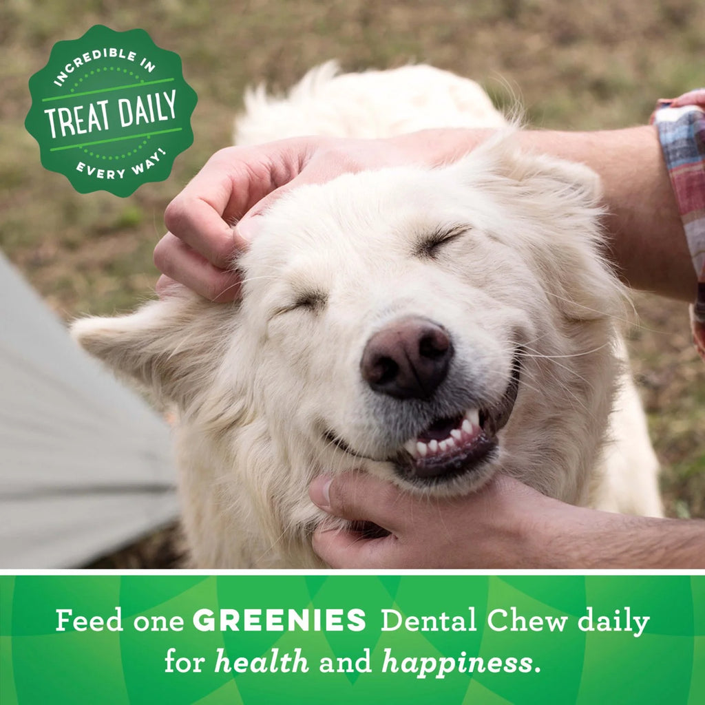 Original Flavor Dental Treats for Dogs, 18 oz 4 Pack B7543