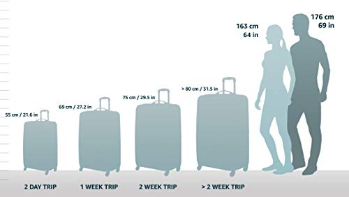 Hardside Expandable Luggage with Spinner Wheels, Rose Gold, 3-Piece Set L724007