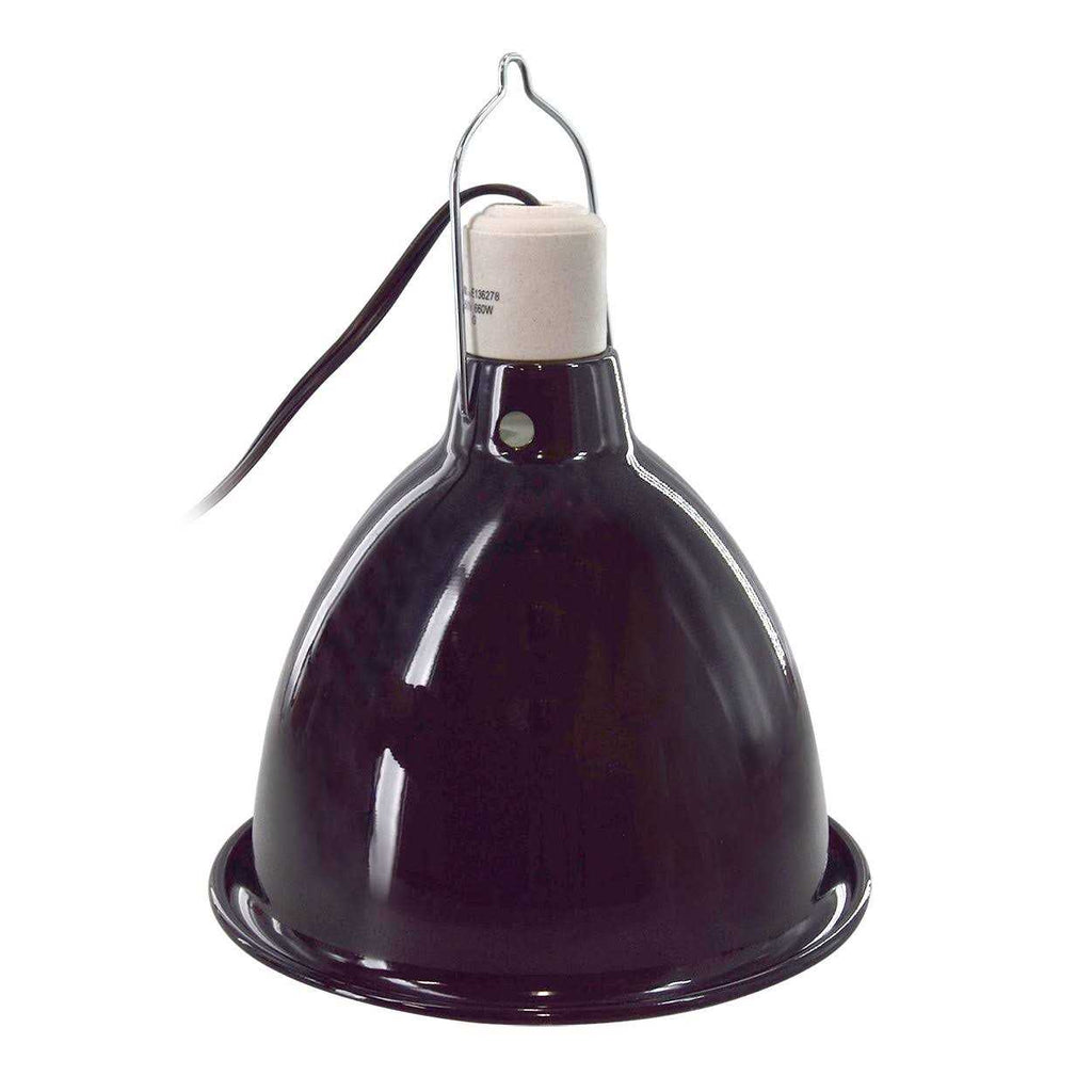 Reptile Lamp Z766647