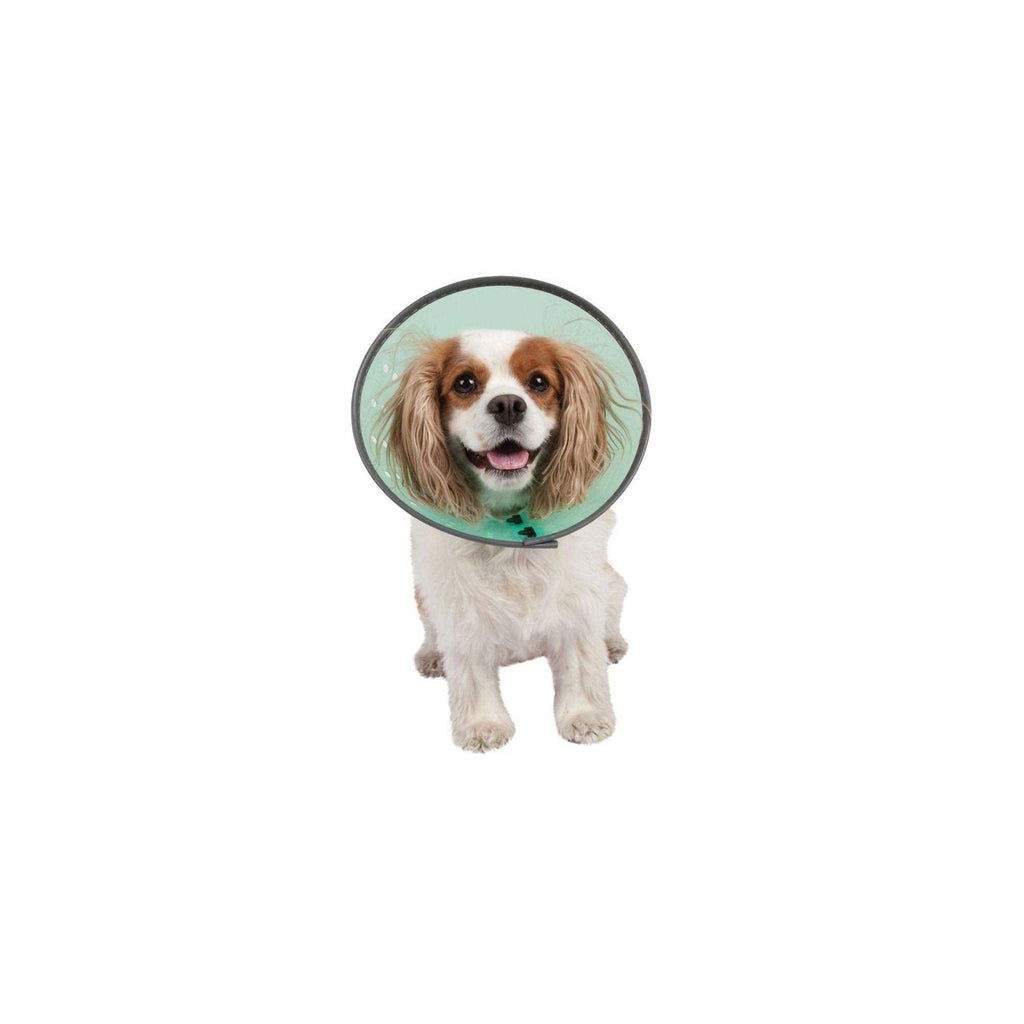 Dog E-Collar G631
