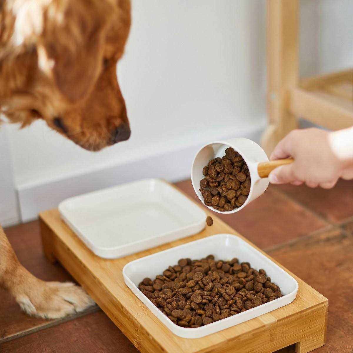 Melamine Dog & Cat Food Scoop with Bamboo Handle B768850
