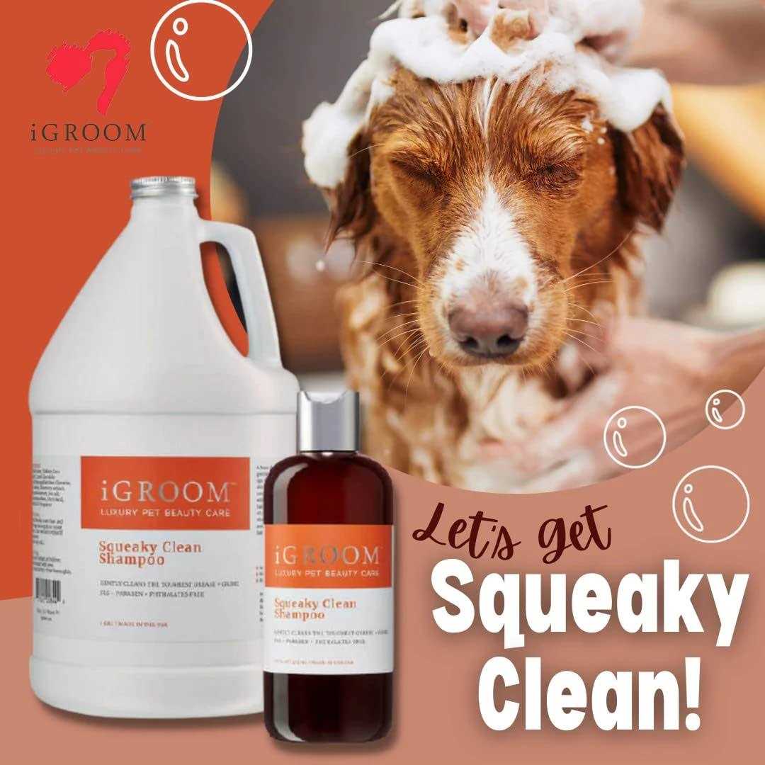 Squeaky Clean Shampoo H8400