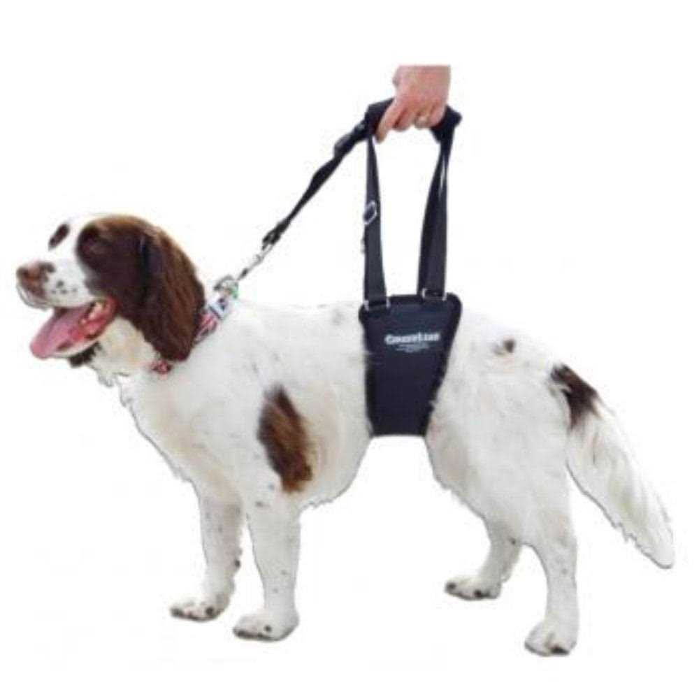 Dog Support Rehabilitation Harness A169829