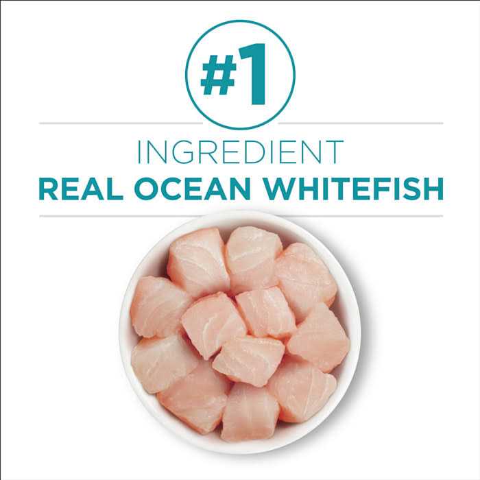 Indoor Advantage Natural Cat Food Ocean Whitefish & Rice B924849