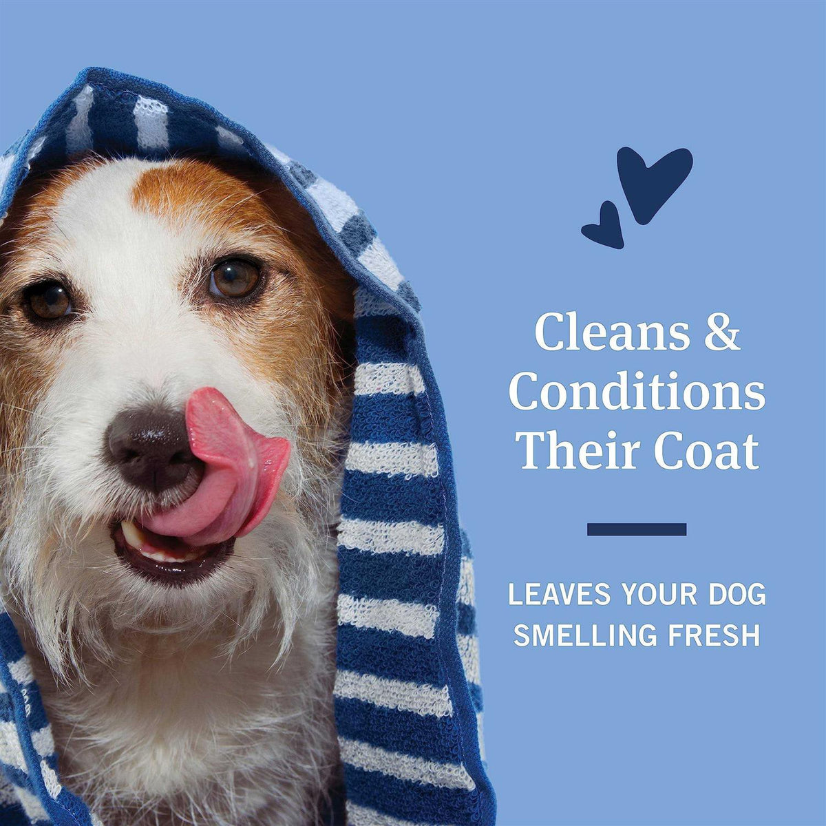 Flea and Tick Shampoo for Dogs N663