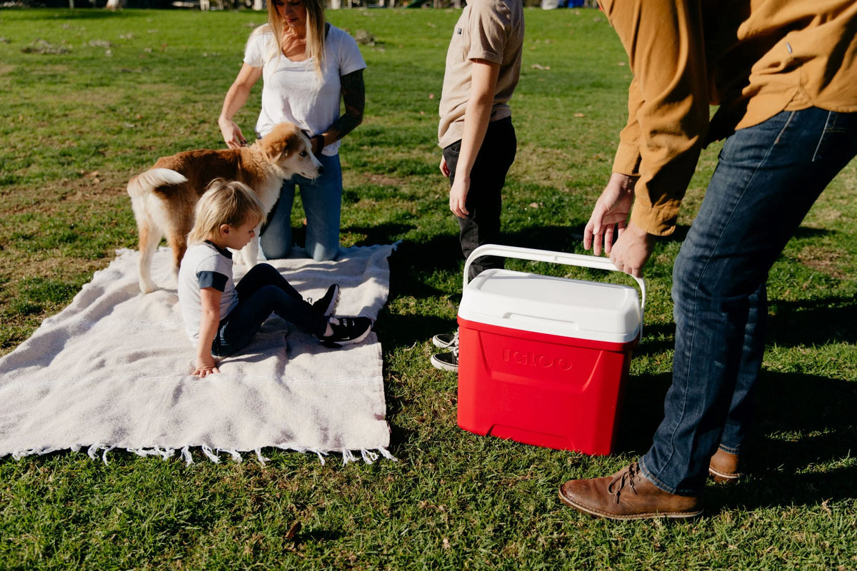 28 QT Red Ice Chest Cooler O4962
