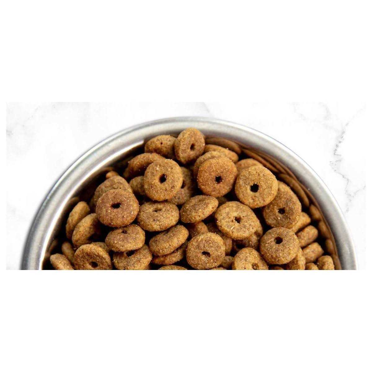 Chicken & Brown Rice Senior Dry Dog Food N221