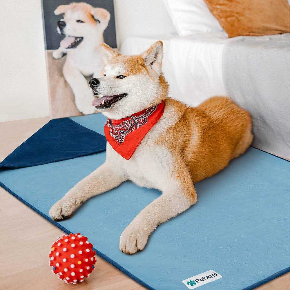 Waterproof Dog Blanket Pet Couch Cover U248