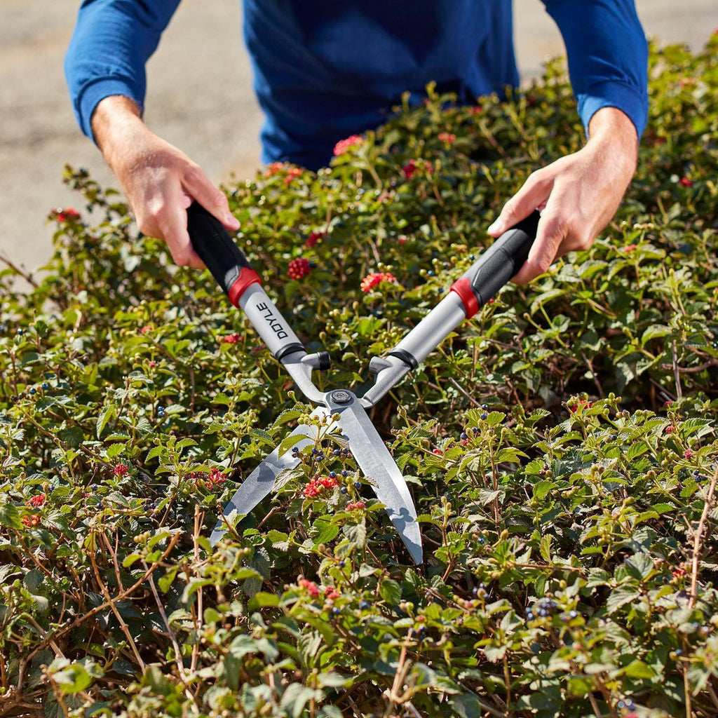 Forged Steel Hedge Shears T30008