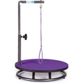Small Pet Grooming Table A10038