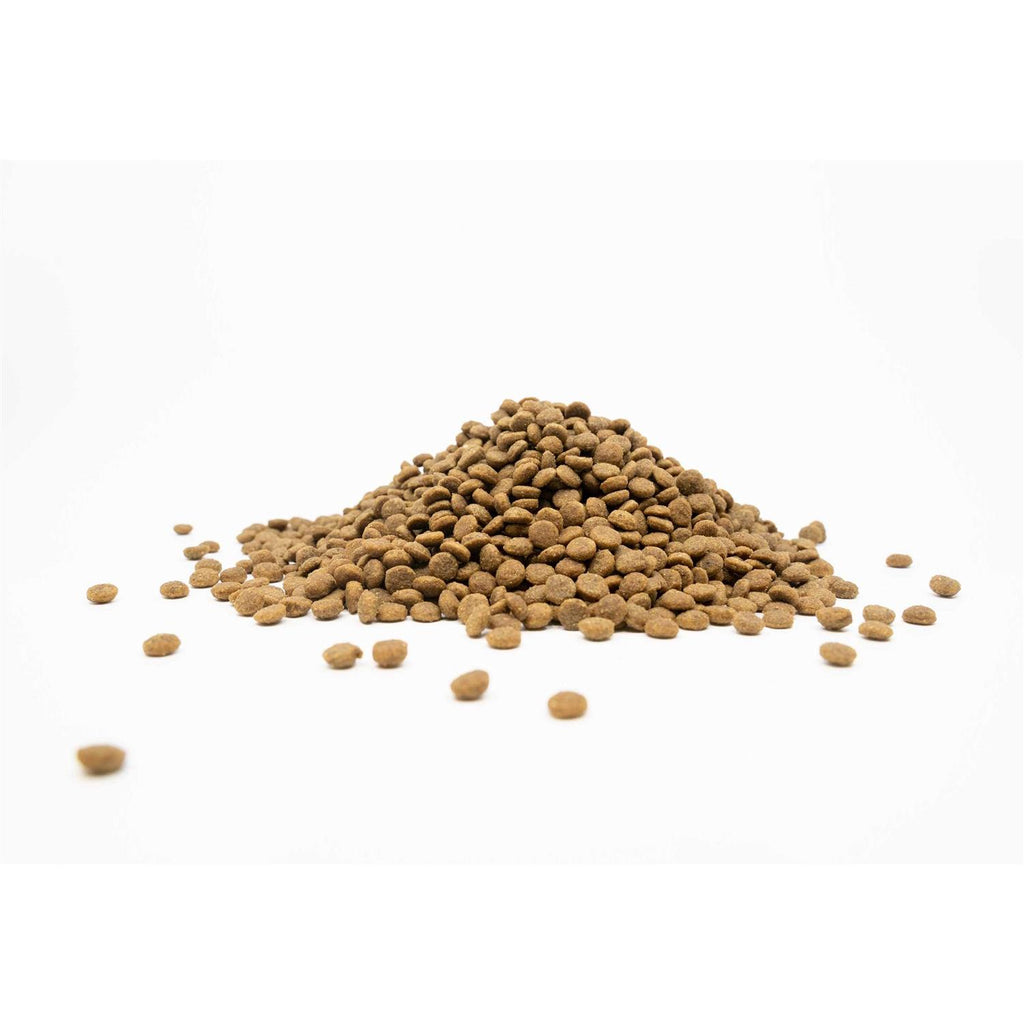 Grain Free Dry Dog Food T186