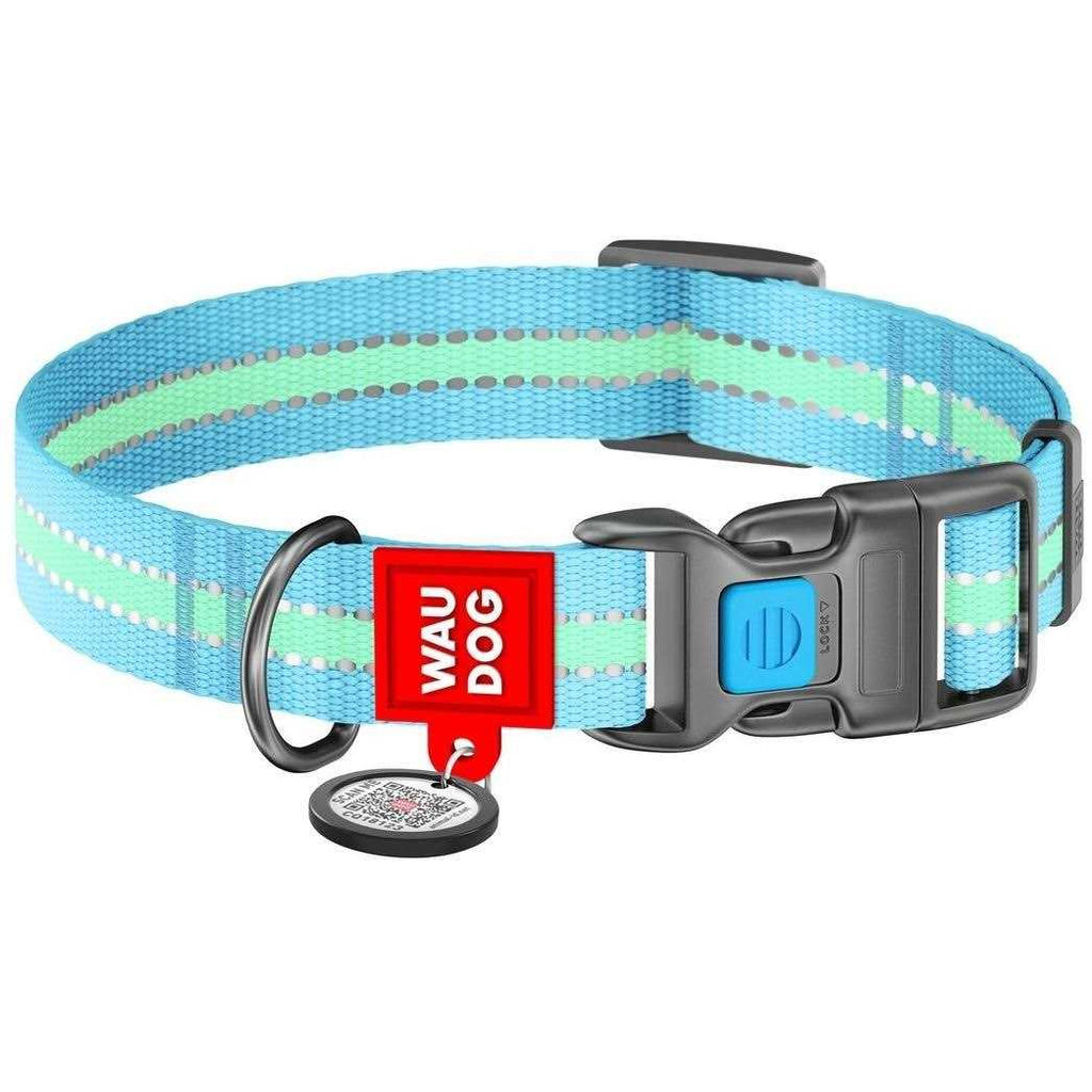 Glow in the Dark Nylon Dog Collar Blue U91971