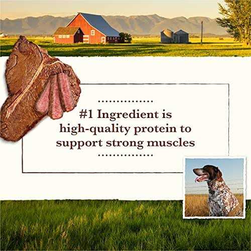 Grain-Free Pork Beef & Lamb Dry Dog Food F429254