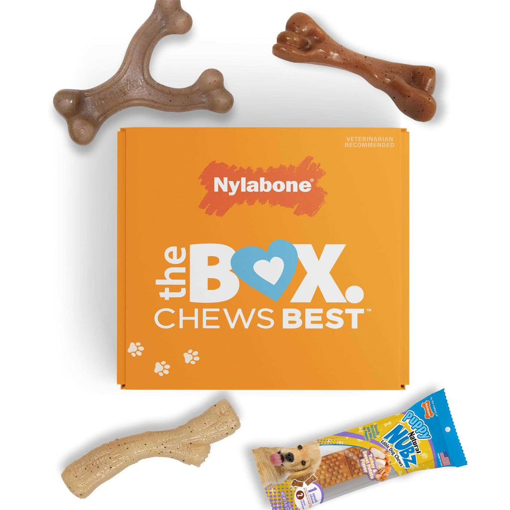 Chew Toy & Treat Gift Box Y9040