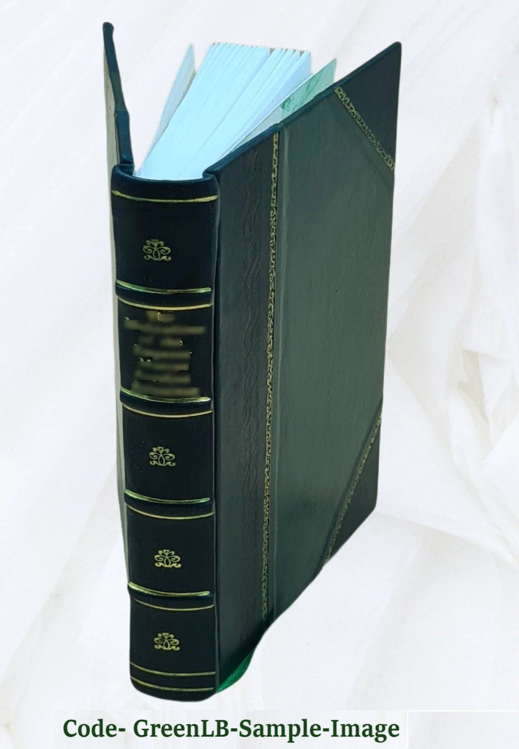 Leather Bound G6662