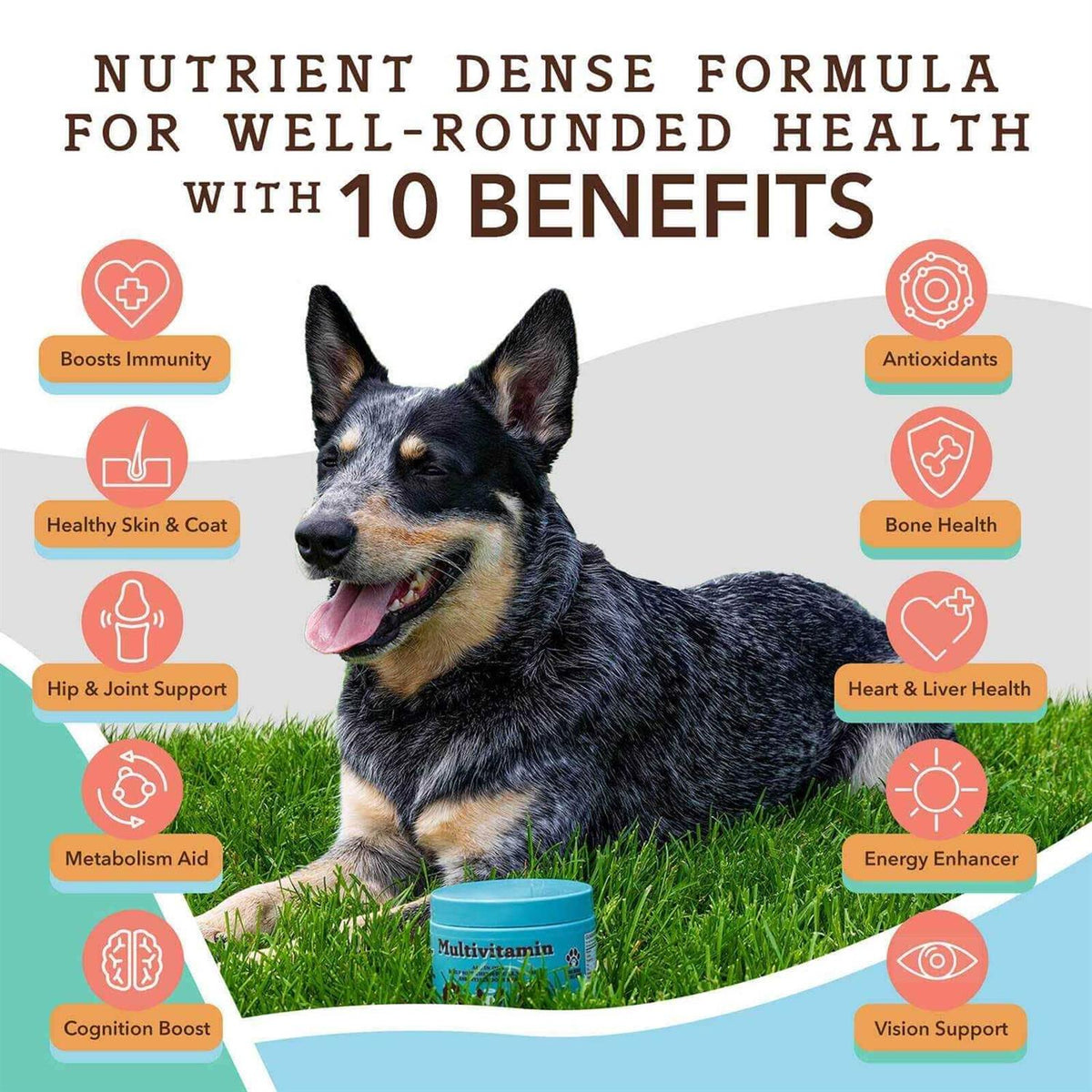 Multivitamin Pet Supplies R1627