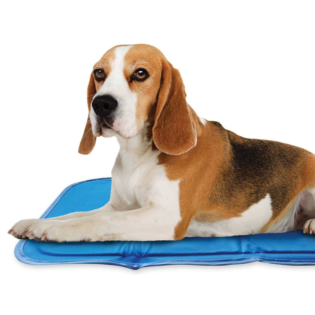 Cool Pet Pad F25448