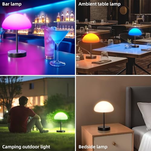 16 Color Changing Rechargeable LED Mood Lamp V266010