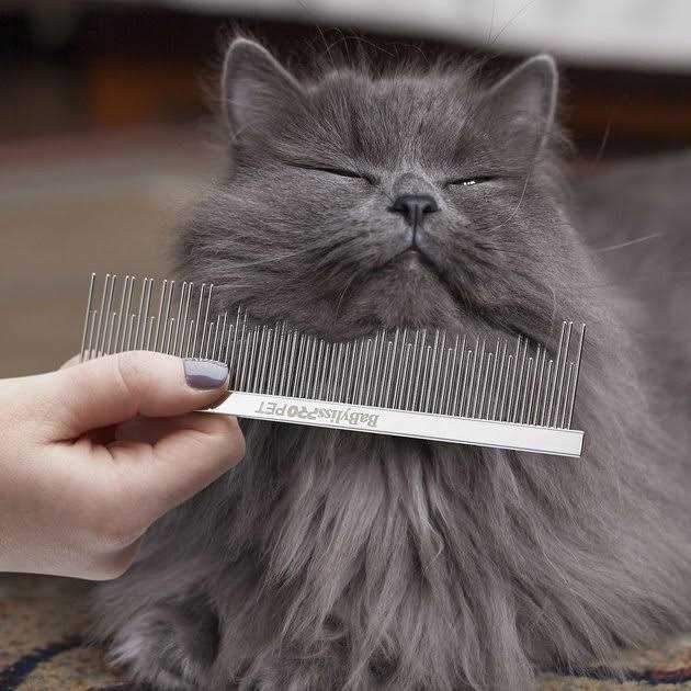 Pet Carding Cat/Dog Comb I7235